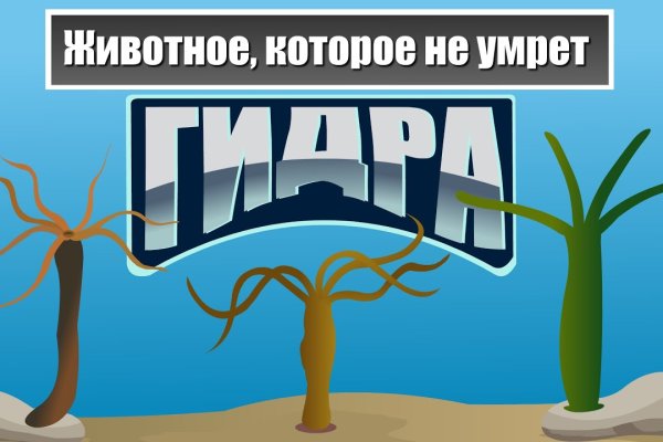 Кракен площадка торговая kr2web in